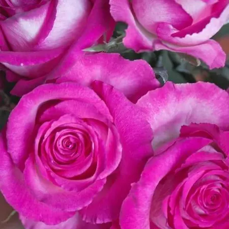 Apartmán Charming And Stylish Apartment Next To Nyhavn Kodaň