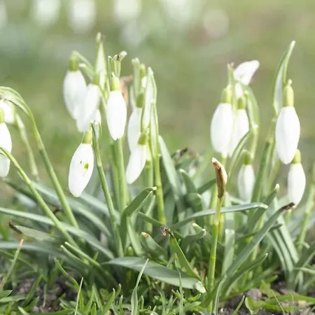 Charming And Stylish Apartment Next To Nyhavn Apartmán *