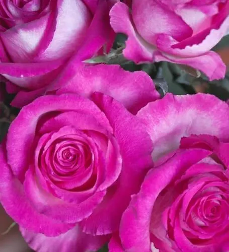 Apartman Charming And Stylish Apartment Next To Nyhavn Koppenhága