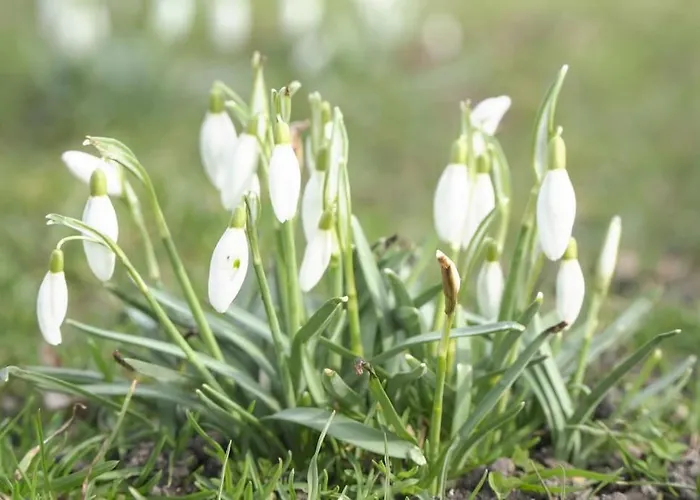 Charming And Stylish Apartment Next To Nyhavn Apartmán *